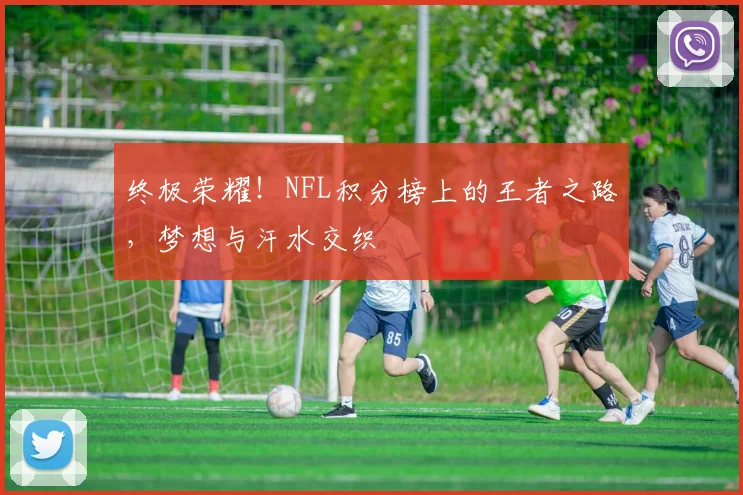 终极荣耀！NFL积分榜上的王者之路，梦想与汗水交织