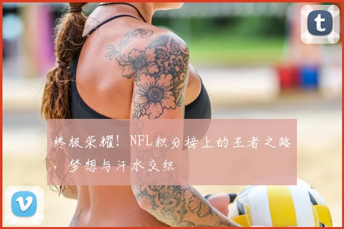 终极荣耀!NFL积分榜上的王者之路,梦想与汗水交织